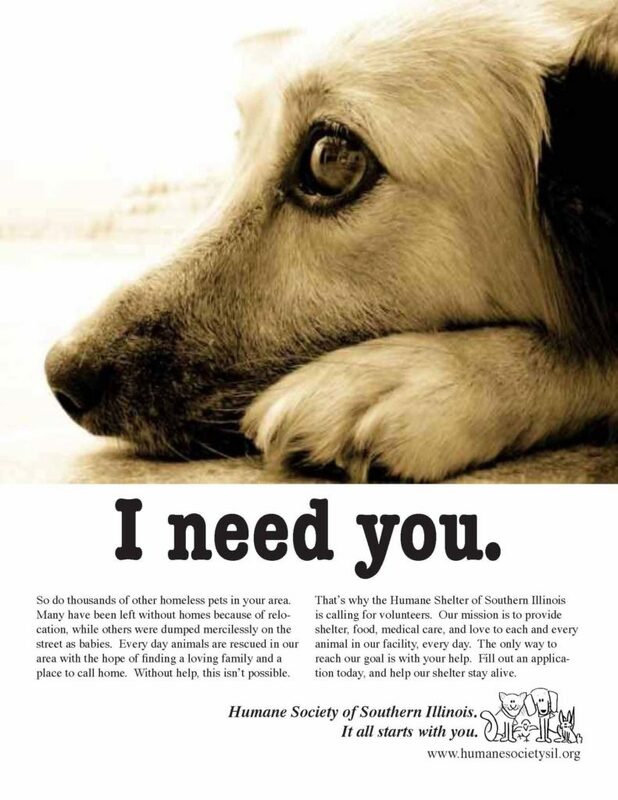 Rescue dog ad - Swipe File