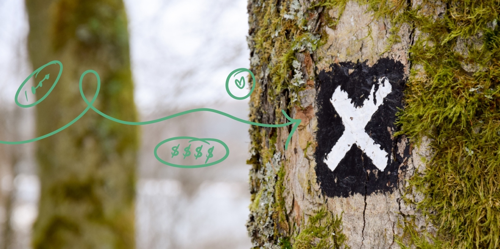 Goal setting for creators: your roadmap for success in 2023