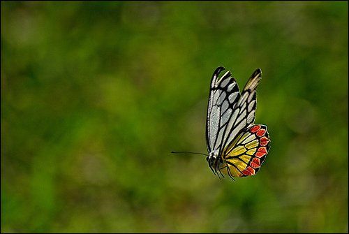 6 Ways My Brain Stops Me From Creating – And How I'm Fighting Back