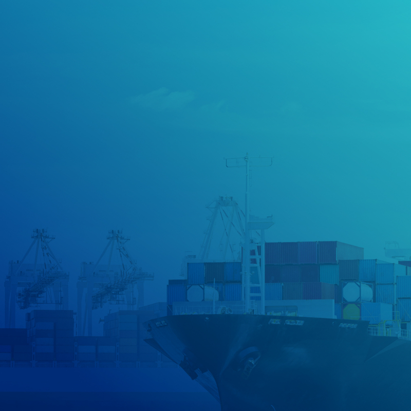 INFUSE Enhances Freightos' Brand Presence with Strategic Content Activation | INFUSE