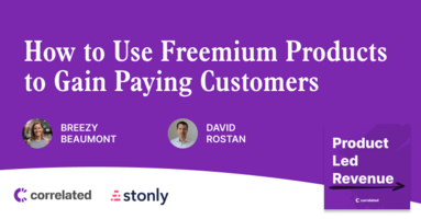 How to Use Freemium Products to Gain Paying Customers | David Rostan, Revenue at Stonly; Ex-Calendly | Correlated Podcast