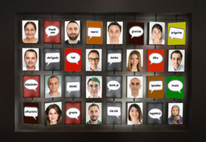 Thanks to Our Valued Partners & Carriers