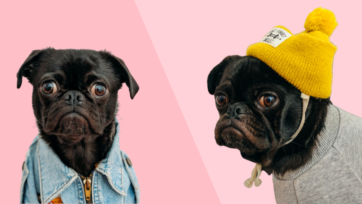 The Auteur Theory of Content Marketing: Why It Pays to Repeat Yourself