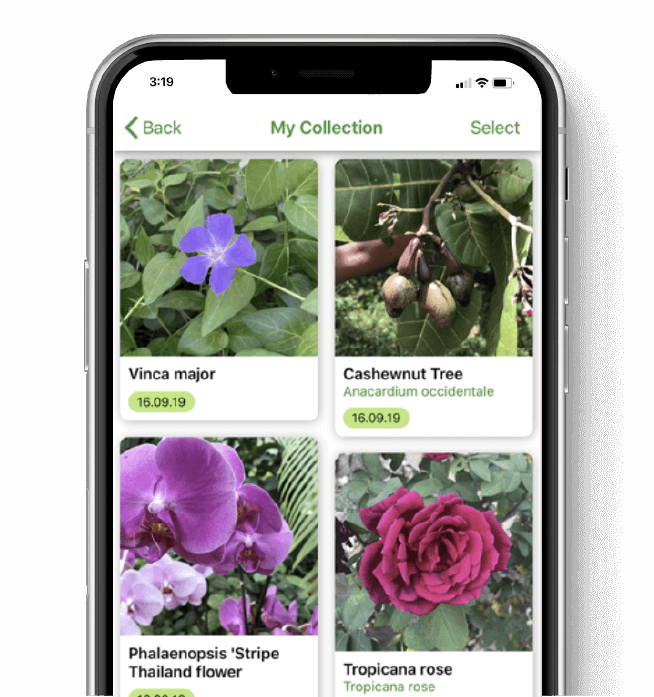 How PlantSnap Uses RFM to Increase Day-30 Retention