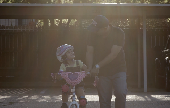 IRAP- Activating virtual network of lawyers  