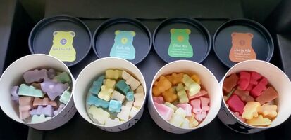 Bootstrap Brands | Case Study