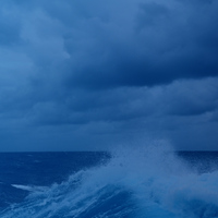 INFUSE INSIGHTS REPORT: VOICE OF THE MARKETER 2024