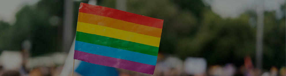 Case Studies | Students For The National Equality March