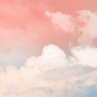 Multi-tenant vs single tenant: Not all clouds are equal