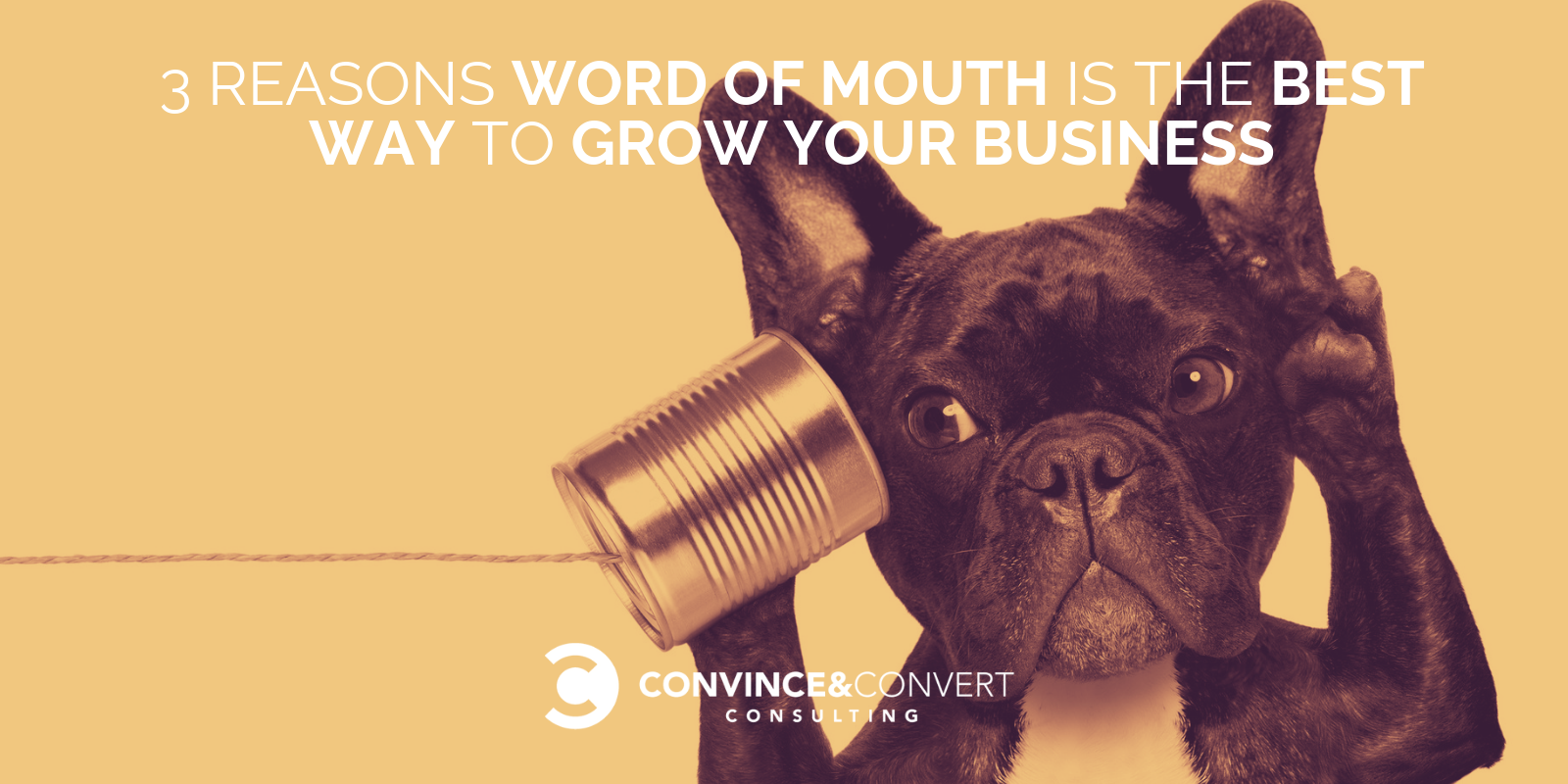 3 Reasons Word of Mouth is the Best Way to Grow Your Business