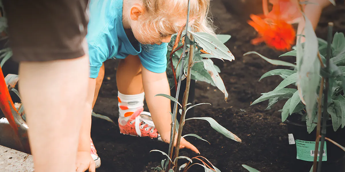 5 Steps to Building a Nonprofit Campaign