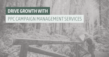 Drive Growth with PPC Campaign Management Services