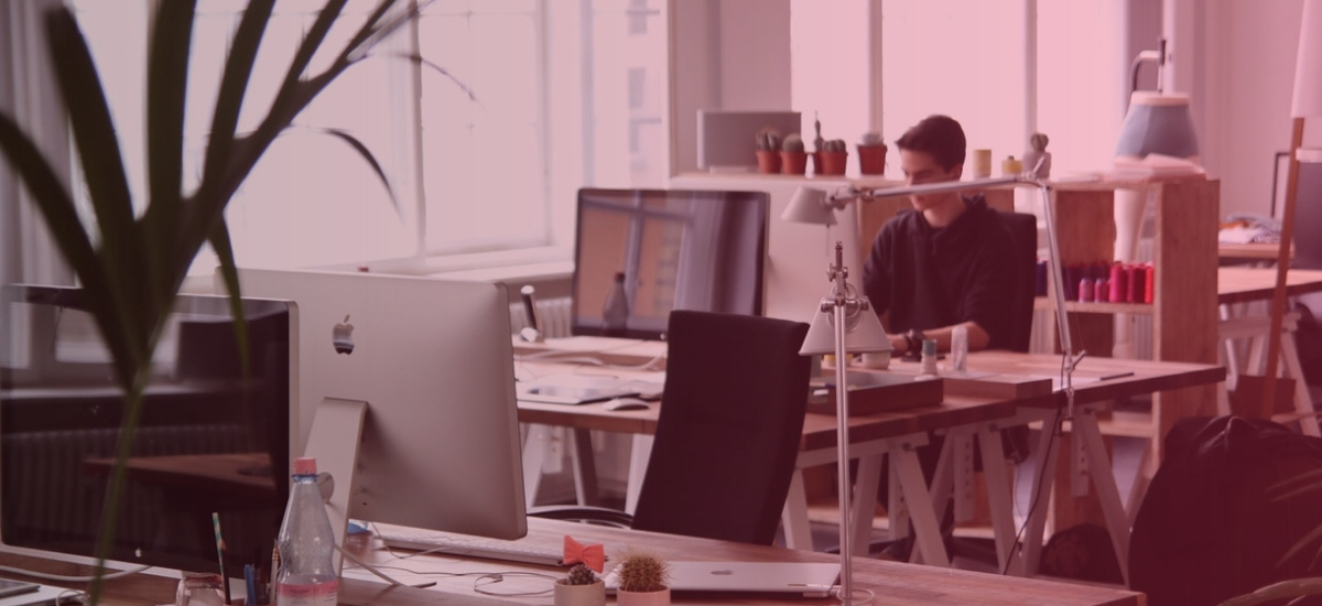 How to Manage a Startup and Get Hockey Stick Growth