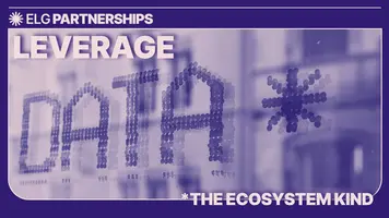 5 ways to leverage ecosystem data 