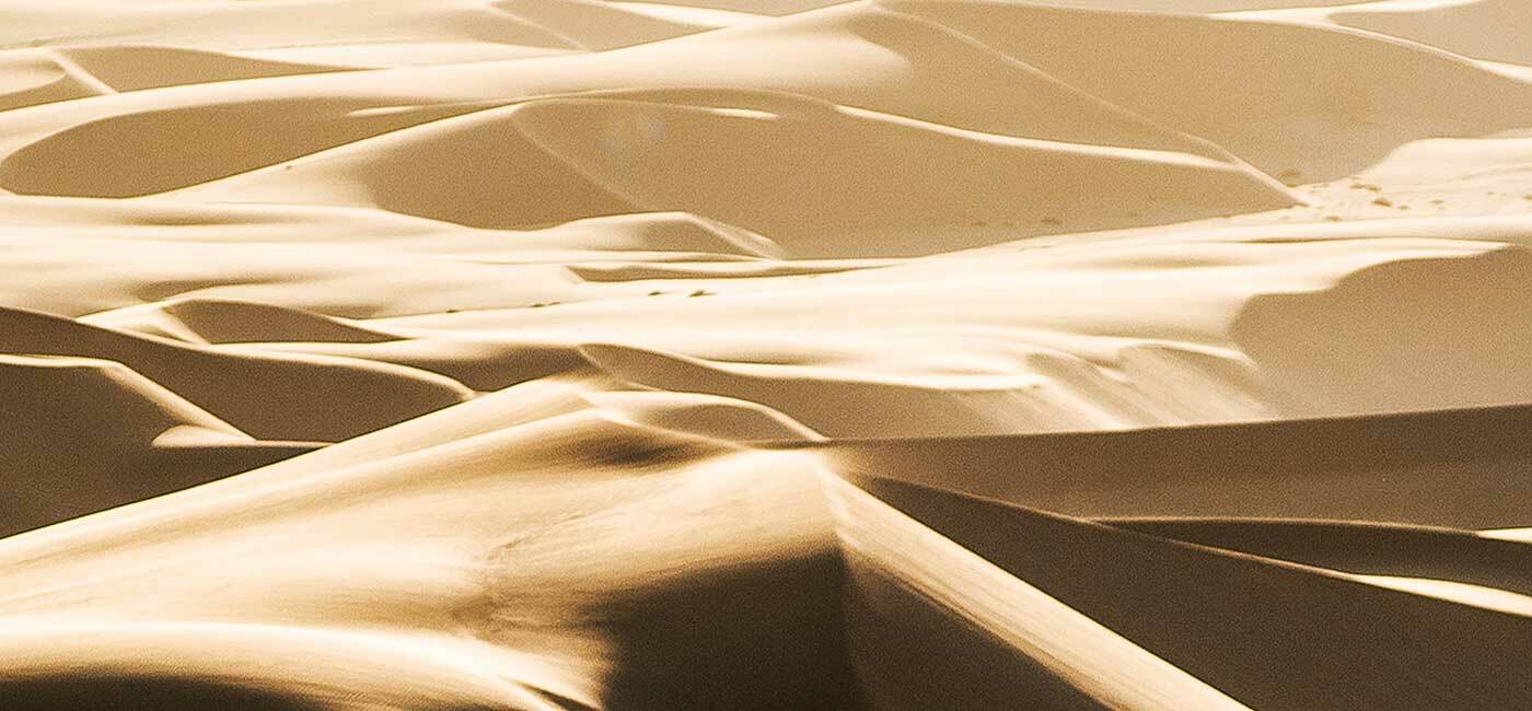 Determine what content is working best with Predictive Intelligence