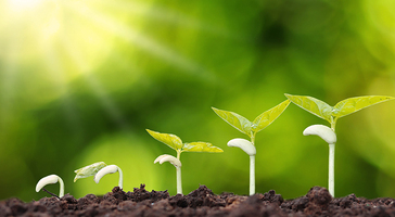 7 tips for fast CRM adoption