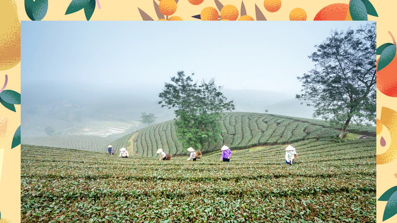 How a food policy nonprofit uses live video to support its mission - Vimeo Blog