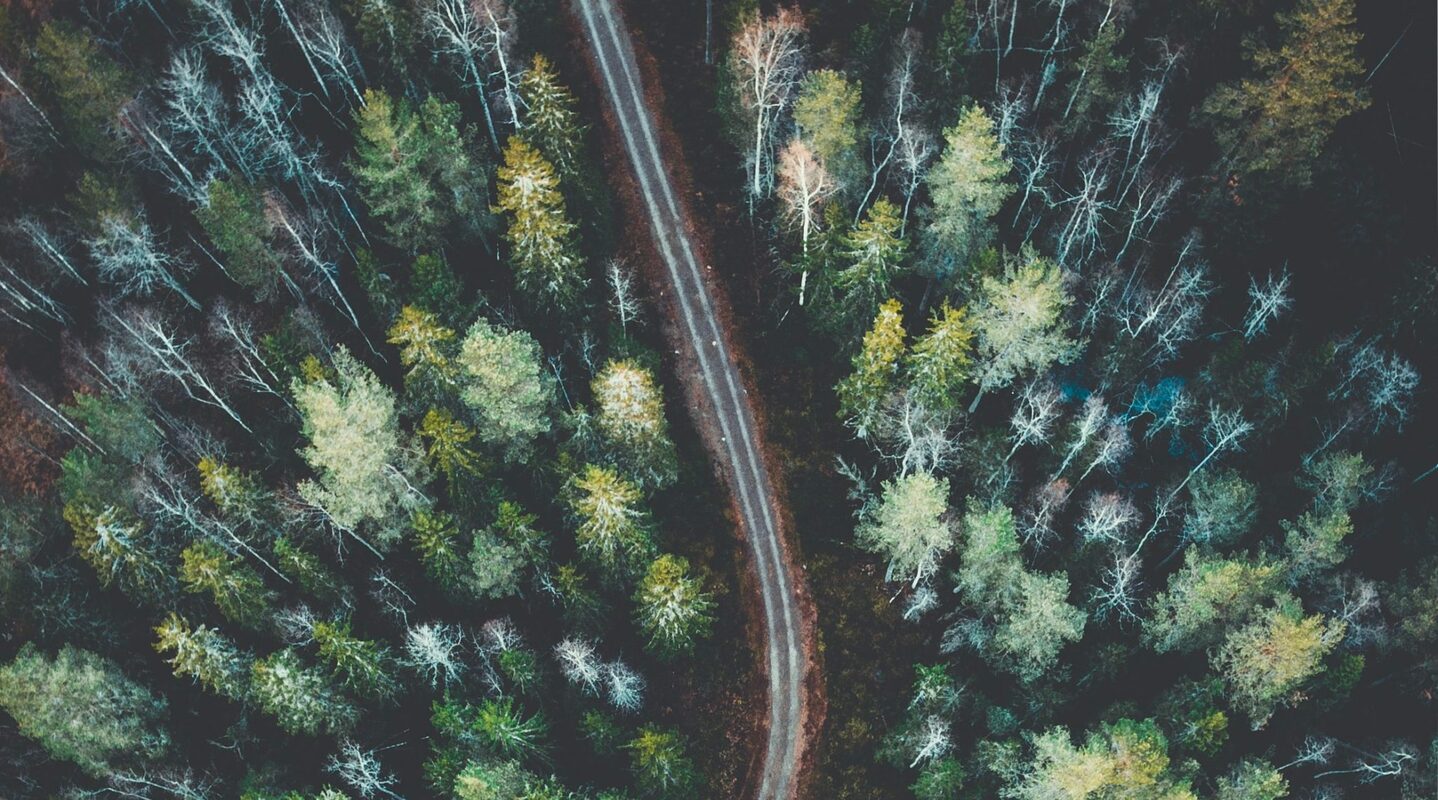 4 Growth Opportunities Hiding in Recession