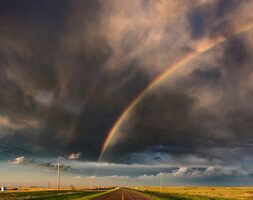 Blog Current Experiences and Preparing Your Business for What's Next