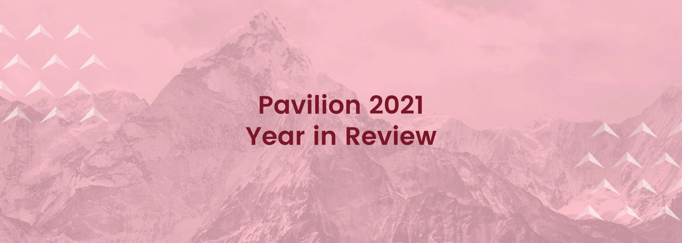 Pavilion 2021 Year in Review - And Looking Ahead in 2022