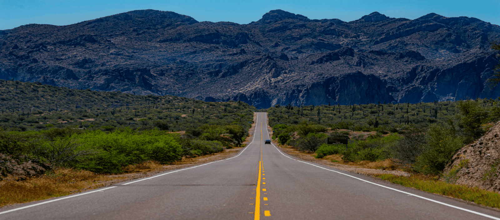 The Ultimate Guide to Using QUERY and IMPORTRANGE in Google Sheets