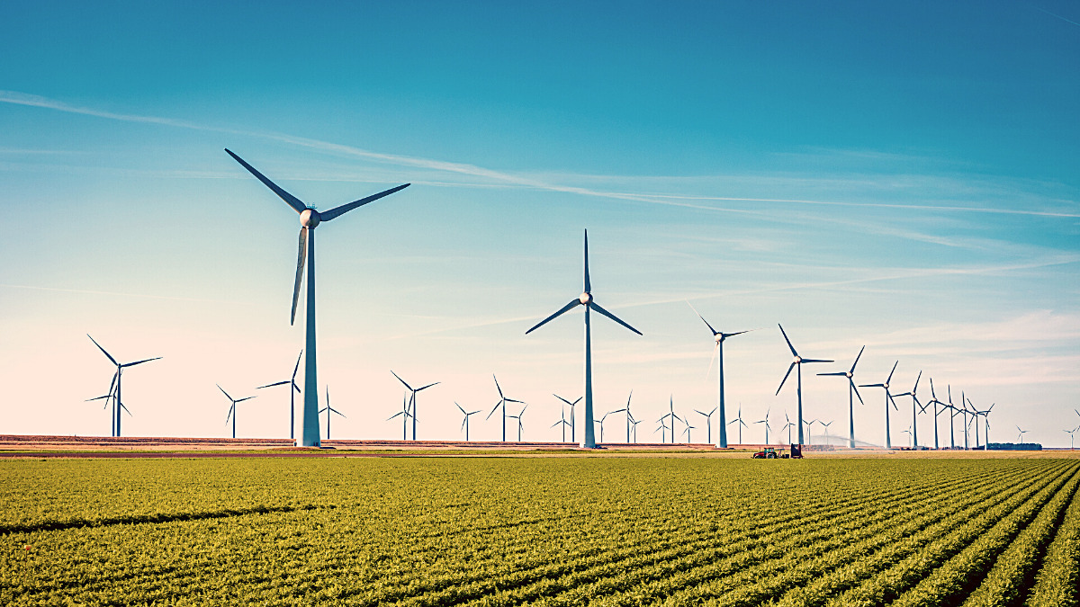 Sustainability and environmentalism