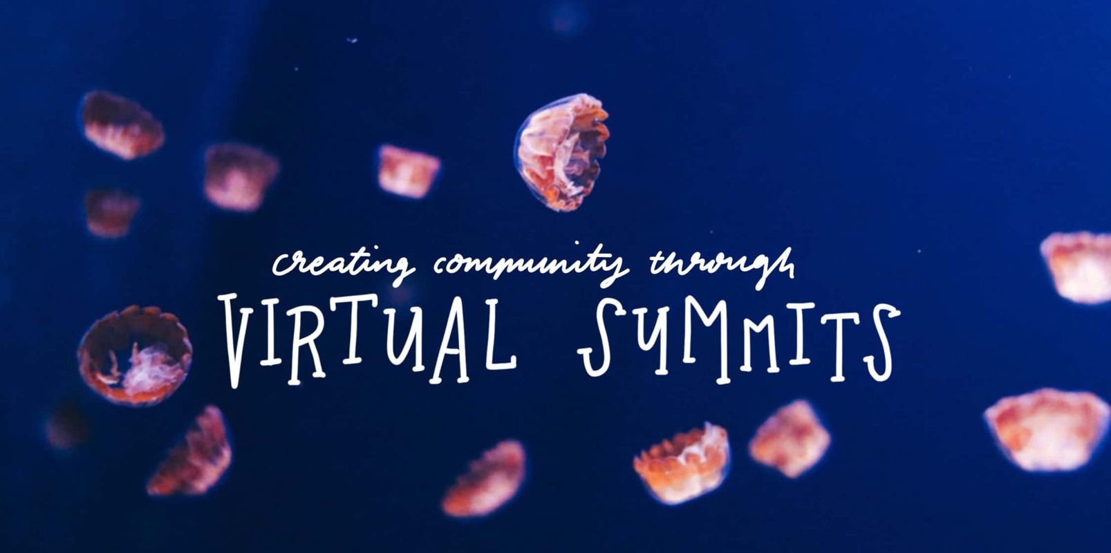 How to use a virtual summit to grow your authority & email list