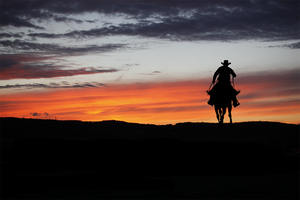 Can you guarantee better email deliverability?