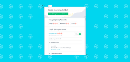 Meet Your Sellers' New Best Friend: Sales Insights