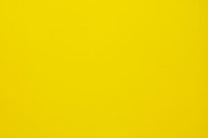 Appropriation vs. Appreciation