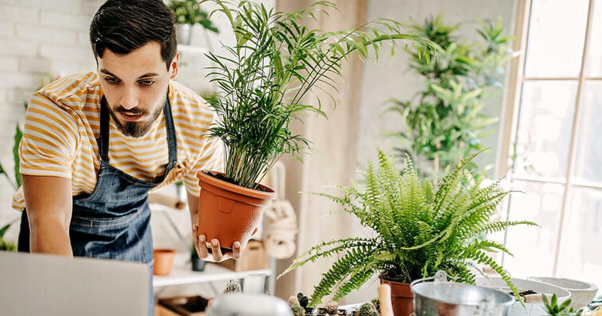 Discover 2023's Essential Small Business Tool