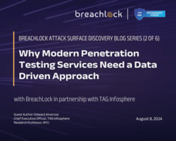 Why Modern Penetration Testing Services Need a Data Driven Approach