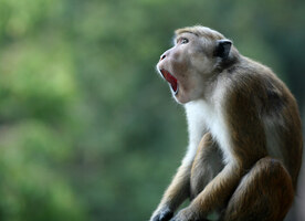 165 Powerful Digital Marketing Statistics for 2022