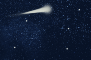 2020 Success: Shaped By Stellar Product Content