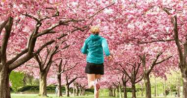 Nike's Secret to Success on Instagram: Building an Engaged Community