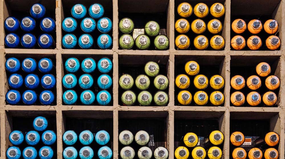 What is a content management system and what CMS does GoDaddy support?