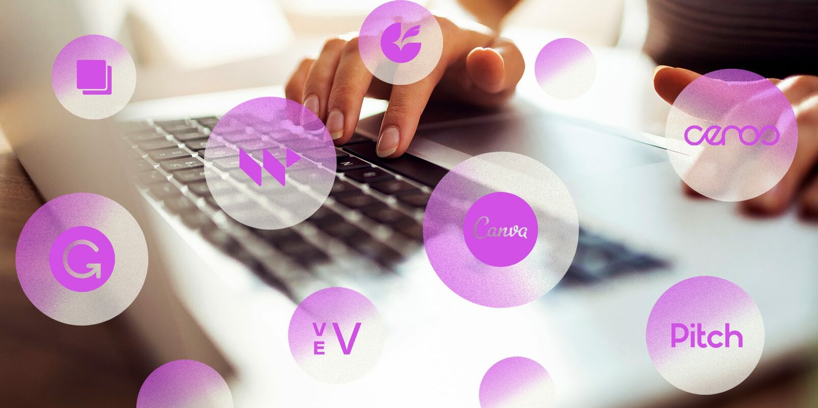 Expert Roundup: How no-code tech gave rise to a new wave of no-pro marketing tools