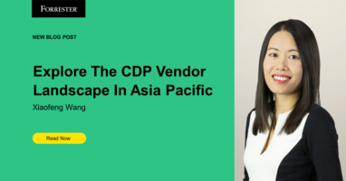 Explore The CDP Vendor Landscape In Asia Pacific