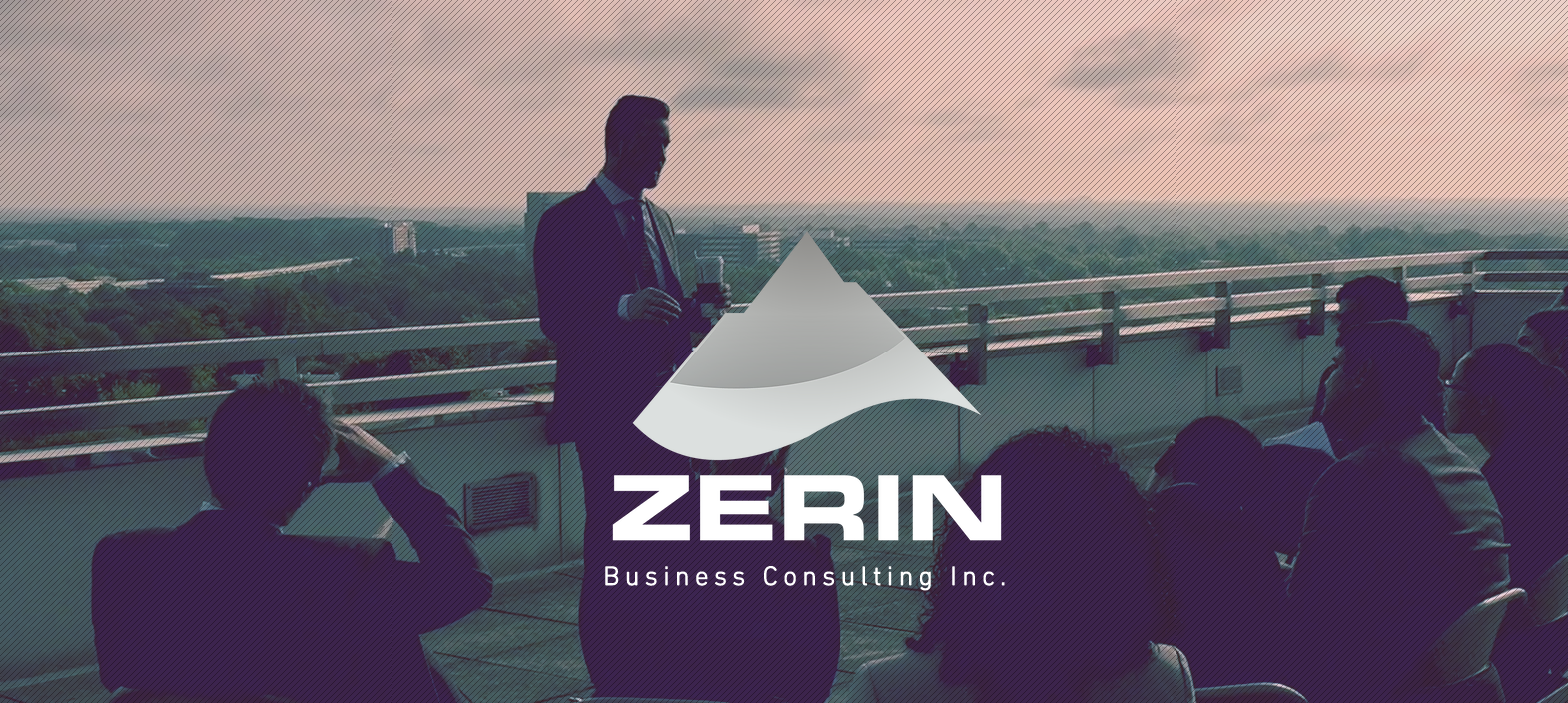 Zerin Business Consulting