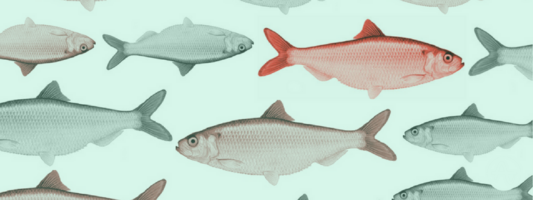 Using Twyman's Law to Avoid Red Herrings in Product Analytics