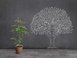 How E-Commerce Marketing Is Evolving in 2019