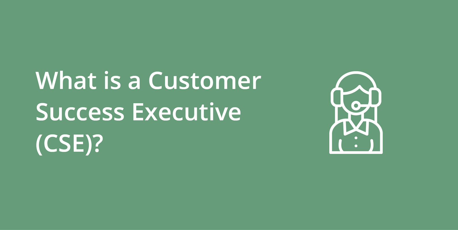 Customer Success Executive (CSE)
