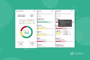 What Makes a Successful Customer Health Journey?