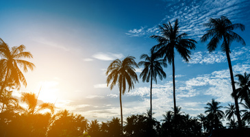 Instagram marketing: an important checklist every business needs