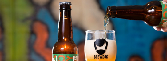 How BrewDog Increased Revenue +13.8% Using Personalized Email Campaigns