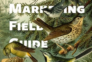 Email Marketing Guide for Successful Campaigns