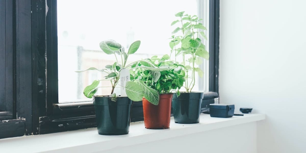 90+ CRO Tips from 44 Shopify Experts