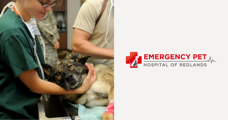 How Texts Save Time for Emergency Pet Hospital of Redlands