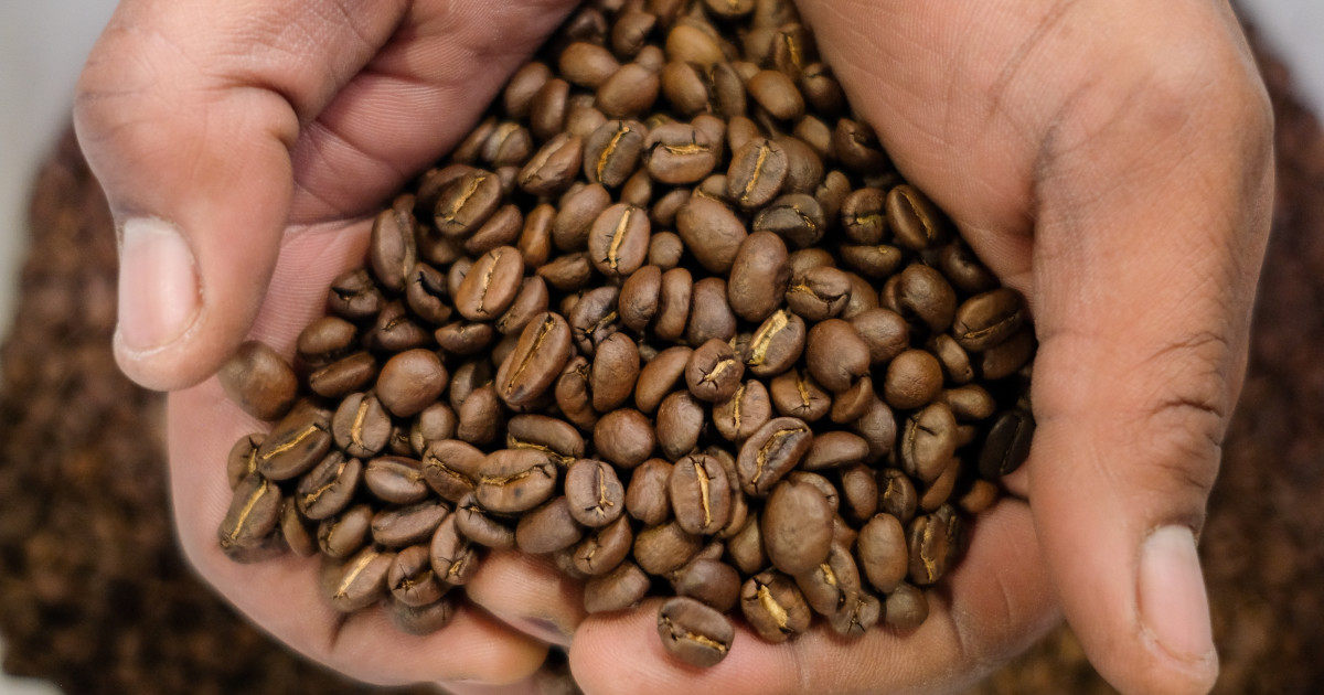 How Red Bay Coffee Is Making Specialty Coffee More Inclusive