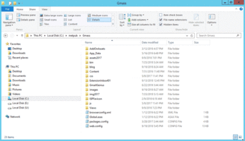 How to serve WordPress pages and ASP.NET MVC pages from the same IIS folder